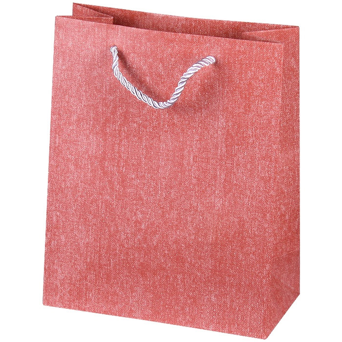 Пакет подарочный 19,5*24,5*9,5 см джинс Darvish цвет ассорти, 1 шт.